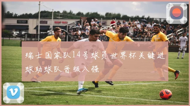 瑞士国家队14号球员世界杯关键进球助球队晋级八强