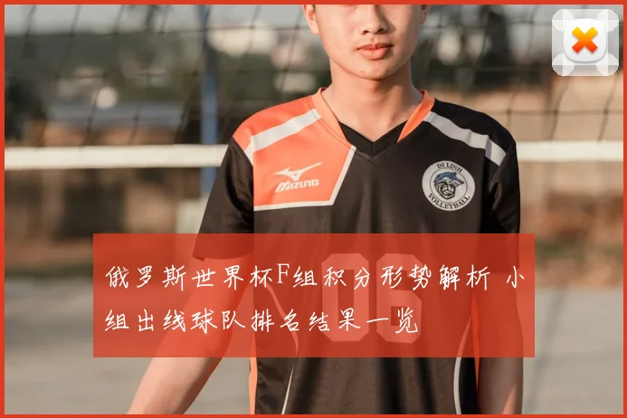 俄罗斯世界杯F组积分形势解析 小组出线球队排名结果一览