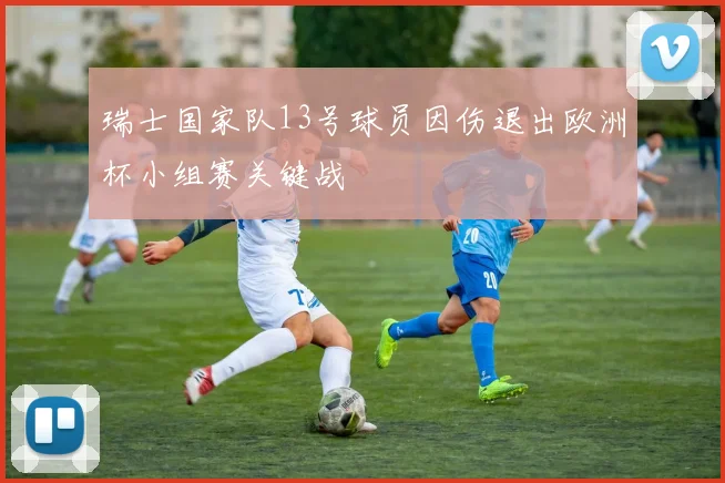 瑞士国家队13号球员因伤退出欧洲杯小组赛关键战