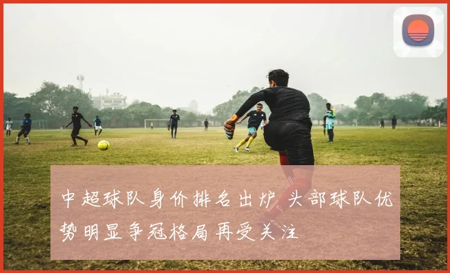 中超球队身价排名出炉 头部球队优势明显争冠格局再受关注