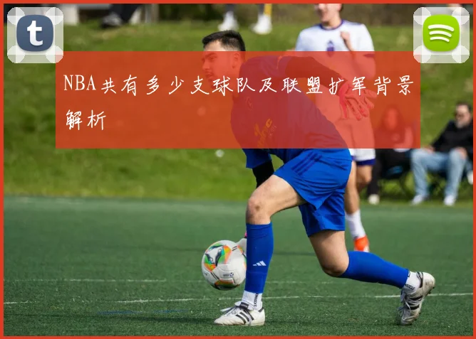 NBA共有多少支球队及联盟扩军背景解析